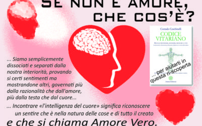 Se non è amore, che cos’è?