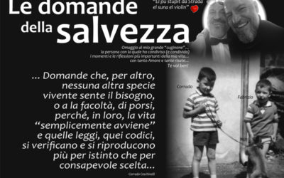 Le domande della salvezza